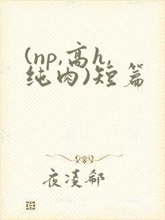 (np,高h,纯肉)短篇