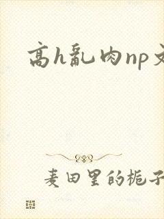 高h乱肉np文
