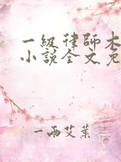 一级律师木苏里小说全文免费阅读免费