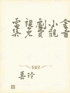 电视剧小舍得全集免费观看