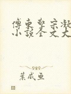 傅东擎宋凝林阑小说全文大结局