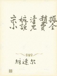 宋婉清赵振国的小说免费全文阅读