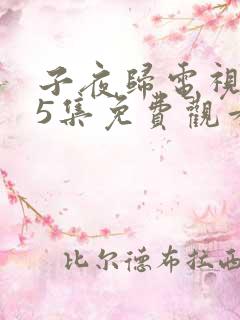 子夜归电视剧25集免费观看全集高清