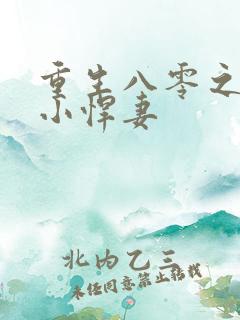 重生八零之家有小悍妻