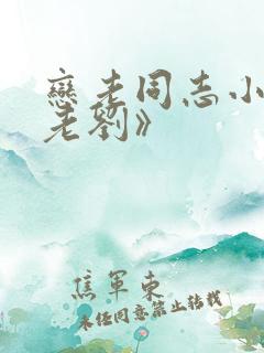 恋老同志小说《老刘》