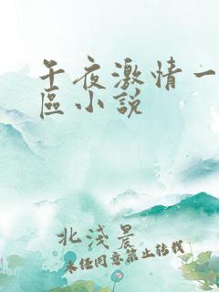 午夜激情一区二区小说