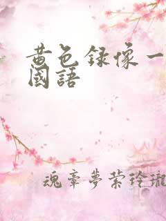 黄色录像一级片国语