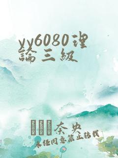 yy6080理论三级