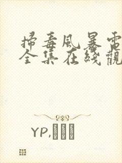 扫毒风暴电视剧全集在线观看高清