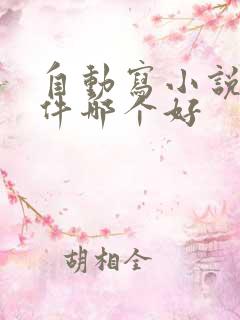 自动写小说的软件哪个好