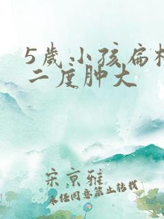 5岁小孩扁桃体二度肿大