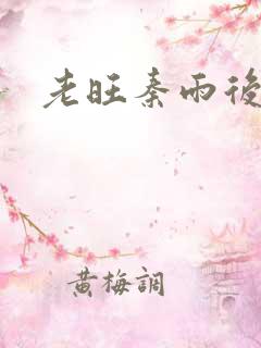 老旺秦雨后续
