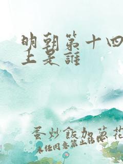 明朝第十四代皇上是谁
