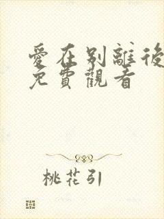 爱在别离后短剧免费观看