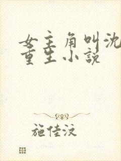 女主角叫沈晚的重生小说