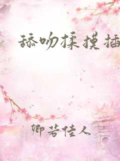 舔吻揉摸插