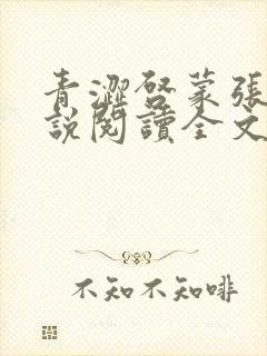 青涩启蒙张勇小说阅读全文