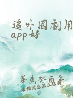 追外国剧用什么app好