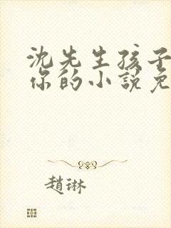 沈先生孩子不是你的小说免费阅读