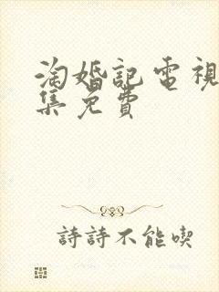 淘婚记电视剧全集免费