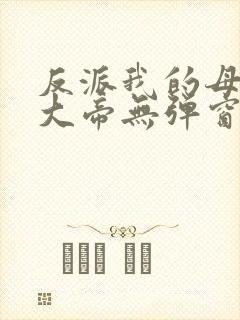 反派我的母亲是大帝无弹窗
