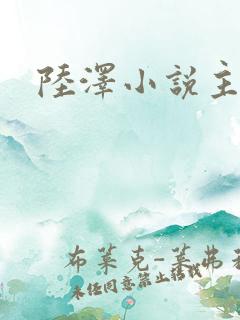 陆泽小说主角