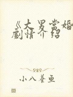《大男当婚2》剧情介绍