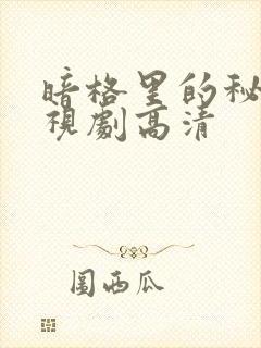 暗格里的秘密电视剧高清
