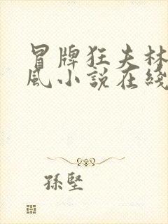冒牌狂夫林悦顾风小说在线阅读