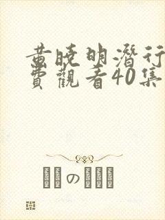 黄晓明潜行者免费观看40集