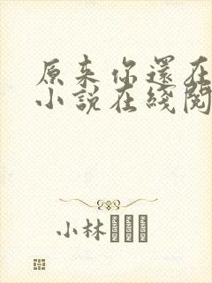原来你还在这里小说在线阅读