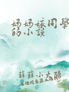 妈妈嫁同学怀孕的小说