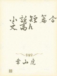 小说短篇合集爽文高h