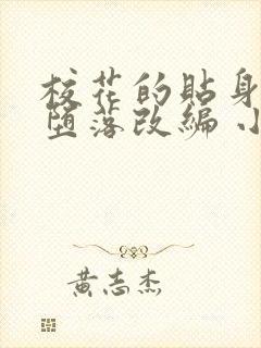 校花的贴身高手堕落改编 小说