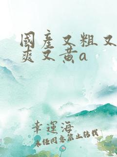 国产又粗又猛又爽又黄a