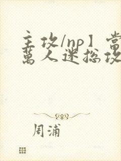 主攻/np】当万人迷总攻成