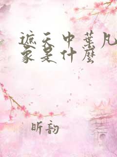 遮天中叶凡的异象是什么