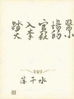 踏入官场医道问天李毅的小说
