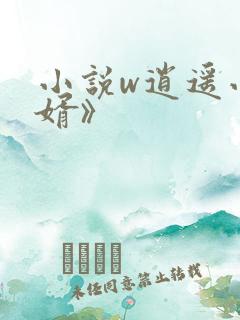小说w逍遥小贵婿》
