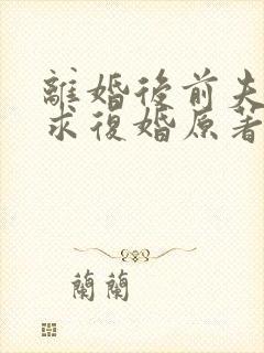 离婚后前夫哭着求复婚原著
