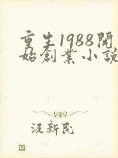 重生1988开始创业小说