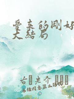 爱来的刚好小说大结局