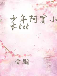 少年阿宾小说全本txt