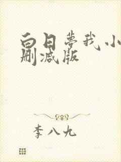 白日梦我小说无删减版