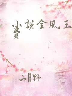 小说金风玉露免费