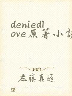 deniedlove原著小说免费阅读最新章节