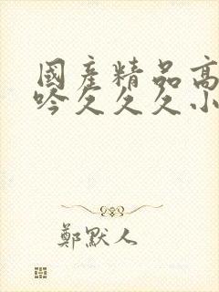 国产精品高潮呻吟久久久小说