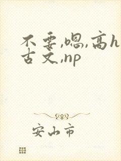 不要,嗯,高h古文,np