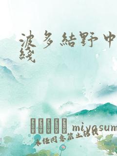 波多结野中文在线