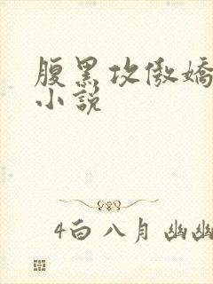 腹黑攻傲娇受的小说